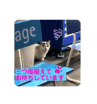 暖かく見守ってください（個別スタンプ：4）