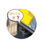 暖かく見守ってください（個別スタンプ：7）