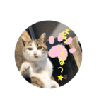 暖かく見守ってください（個別スタンプ：15）