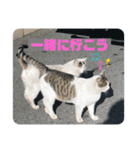 暖かく見守ってください（個別スタンプ：17）