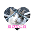 暖かく見守ってください（個別スタンプ：19）