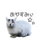 暖かく見守ってください（個別スタンプ：24）