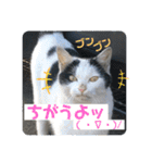暖かく見守ってください（個別スタンプ：25）
