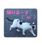 暖かく見守ってください（個別スタンプ：26）