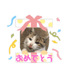 暖かく見守ってください（個別スタンプ：28）