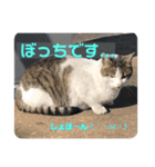 暖かく見守ってください（個別スタンプ：30）