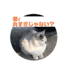 暖かく見守ってください（個別スタンプ：31）