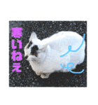暖かく見守ってください（個別スタンプ：32）