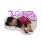 琥珀特集（個別スタンプ：5）