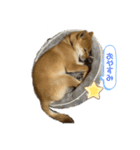 やまぐちさだはる（個別スタンプ：7）