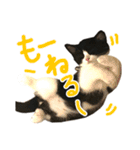 ろろちゃんのスタンプ（個別スタンプ：2）