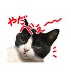 ろろちゃんのスタンプ（個別スタンプ：3）
