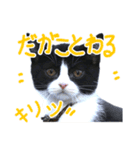 ろろちゃんのスタンプ（個別スタンプ：4）