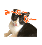 ろろちゃんのスタンプ（個別スタンプ：5）