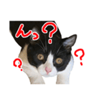 ろろちゃんのスタンプ（個別スタンプ：6）