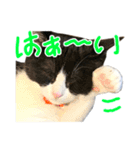 ろろちゃんのスタンプ（個別スタンプ：10）
