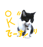 ろろちゃんのスタンプ（個別スタンプ：11）