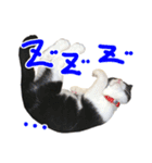 ろろちゃんのスタンプ（個別スタンプ：12）