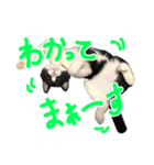 ろろちゃんのスタンプ（個別スタンプ：13）