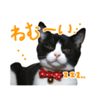 ろろちゃんのスタンプ（個別スタンプ：14）