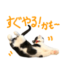 ろろちゃんのスタンプ（個別スタンプ：16）