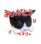 ろろちゃんのスタンプ（個別スタンプ：18）