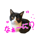 ろろちゃんのスタンプ（個別スタンプ：20）