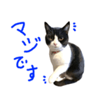 ろろちゃんのスタンプ（個別スタンプ：21）