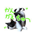 ろろちゃんのスタンプ（個別スタンプ：23）