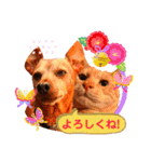 ねこのミーさんといぬのマーさん 3（個別スタンプ：2）