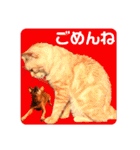 ねこのミーさんといぬのマーさん 3（個別スタンプ：16）