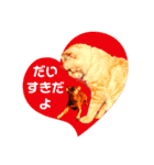 ねこのミーさんといぬのマーさん 3（個別スタンプ：17）