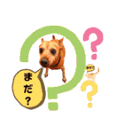 ねこのミーさんといぬのマーさん 3（個別スタンプ：31）