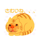 ねこのミーさんといぬのマーさん 3（個別スタンプ：36）