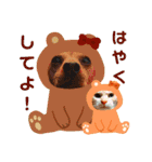 ねこのミーさんといぬのマーさん 3（個別スタンプ：38）