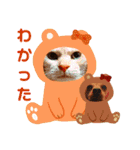 ねこのミーさんといぬのマーさん 3（個別スタンプ：39）