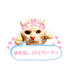 ねこのミーさんといぬのマーさん 3（個別スタンプ：40）