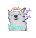 村田さん家のりきぞうくん②（個別スタンプ：1）