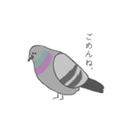 ゆるどり☆コレクション（個別スタンプ：6）