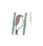 ゆるどり☆コレクション（個別スタンプ：11）
