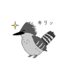 ゆるどり☆コレクション（個別スタンプ：37）
