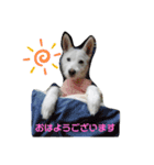 Belle(ベル)末っ子（個別スタンプ：2）