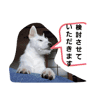 Belle(ベル)末っ子（個別スタンプ：5）