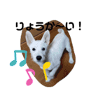 Belle(ベル)末っ子（個別スタンプ：11）