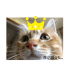 花梨のつぶやき（個別スタンプ：1）