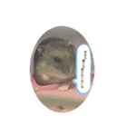 ハムのだんごくん（個別スタンプ：3）