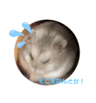 ハムのだんごくん（個別スタンプ：8）
