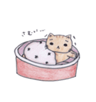 ぽちゃネコ v3（個別スタンプ：23）