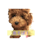 ちょこくんの日常（個別スタンプ：2）