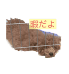 ちょこくんの日常（個別スタンプ：4）